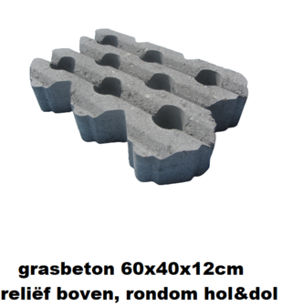 grastegel 40x60x12cm