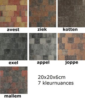 20x20x6cm sierbestrating appel