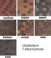 (E6)-20x15x6cm-terrasstenen