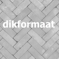 gebakken-klinkers-dikformaat