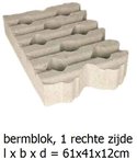 bermblok-grastegel-beton-61x41x12cm